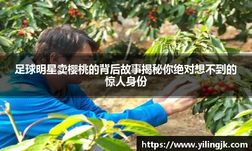 OETY欧亿体育